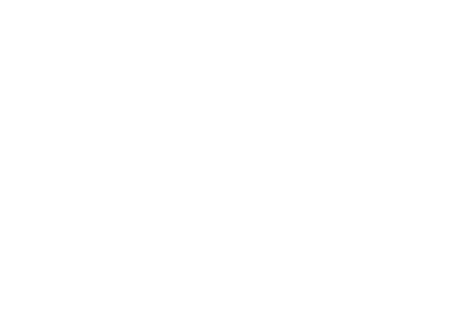 Specialized Audio-Visual Inc. Logo